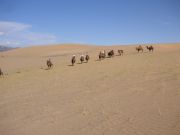 mongolei445