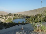 009Oase_Huacachina