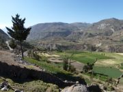 077Colca-Tal