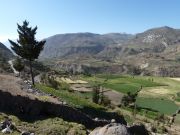 077Colca-Tal