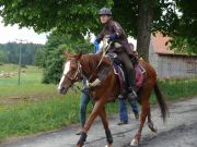 13Kuehlung
